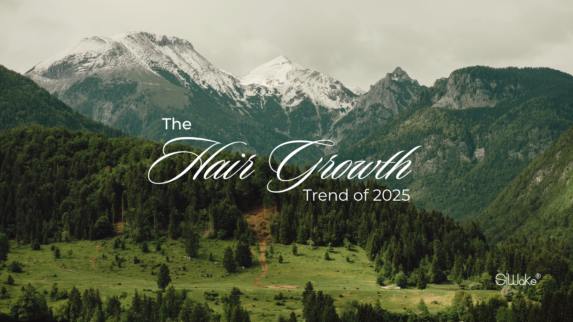 Consumer Demand Trends: Hair Growth Solutions in 2025